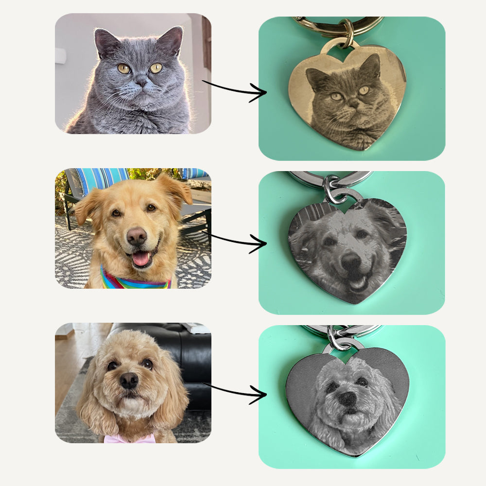 Heart-shaped pet tags with photos of a cat, dog, and another dog on a teal background.
