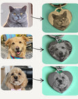 Heart-shaped pet tags with photos of a cat, dog, and another dog on a teal background.